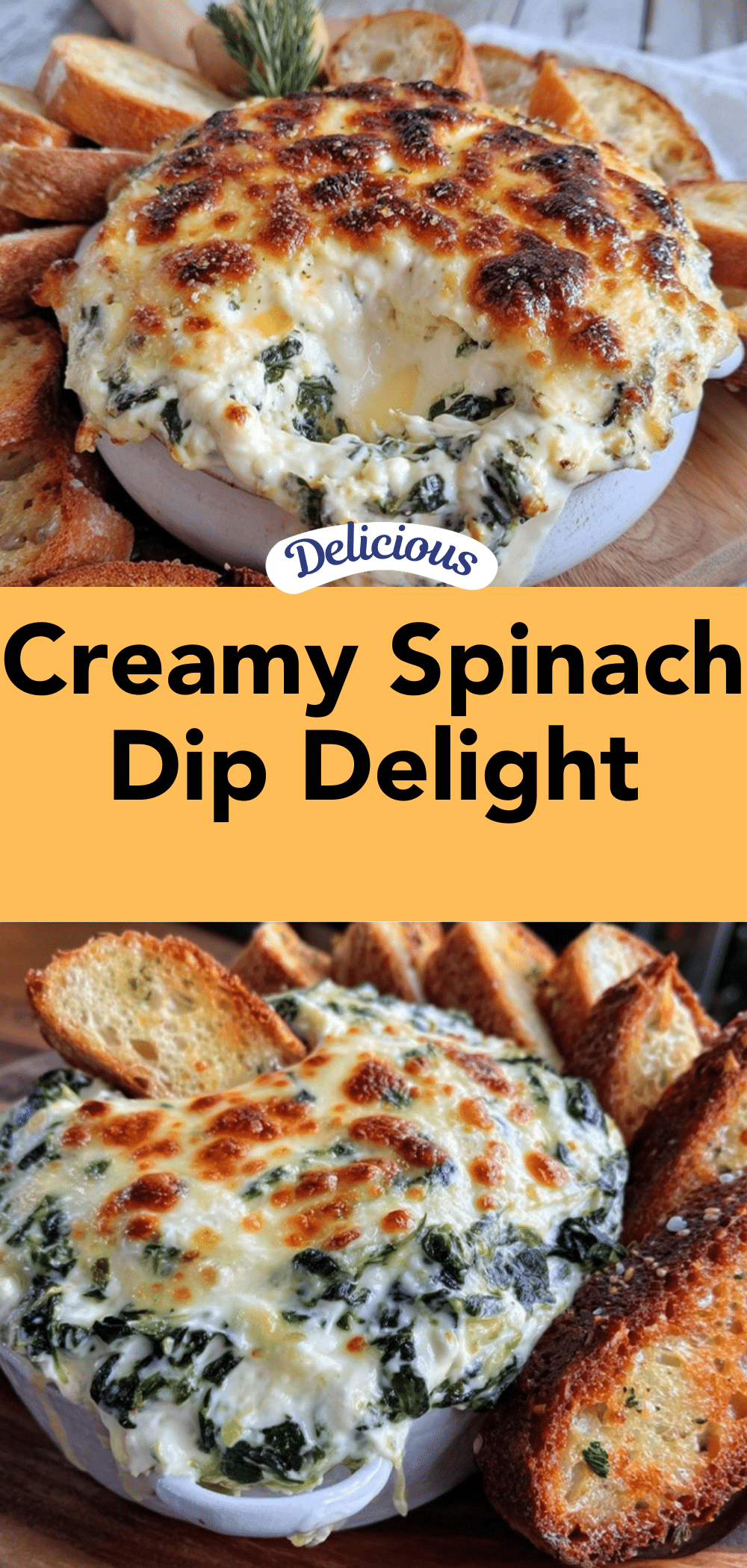 creamy spinach dip delight recipe