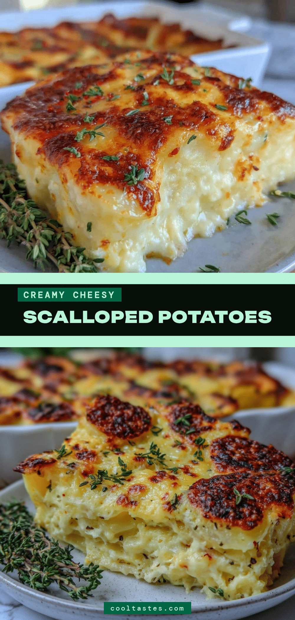 classic scalloped potatoes recipe recipe