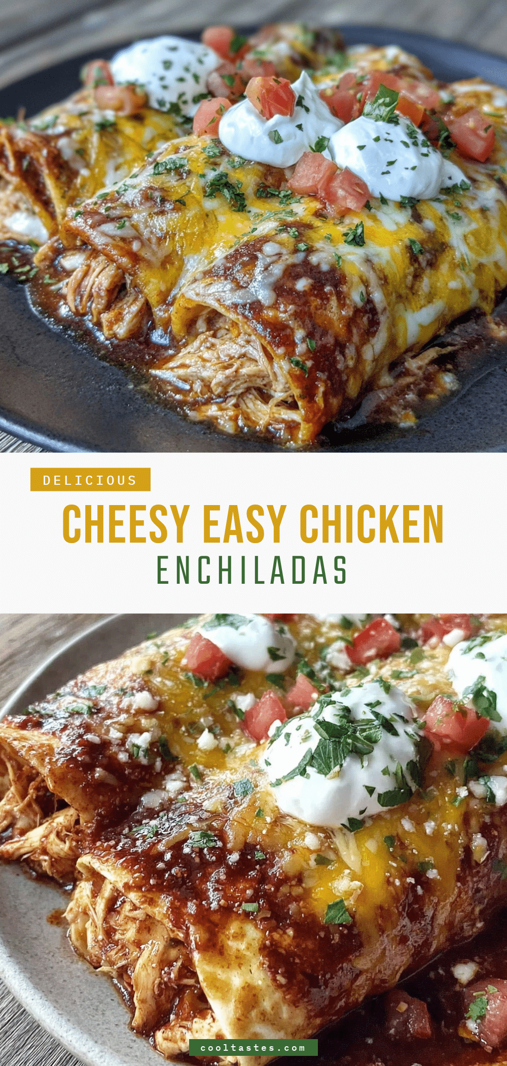 easy chicken enchiladas recipe recipe