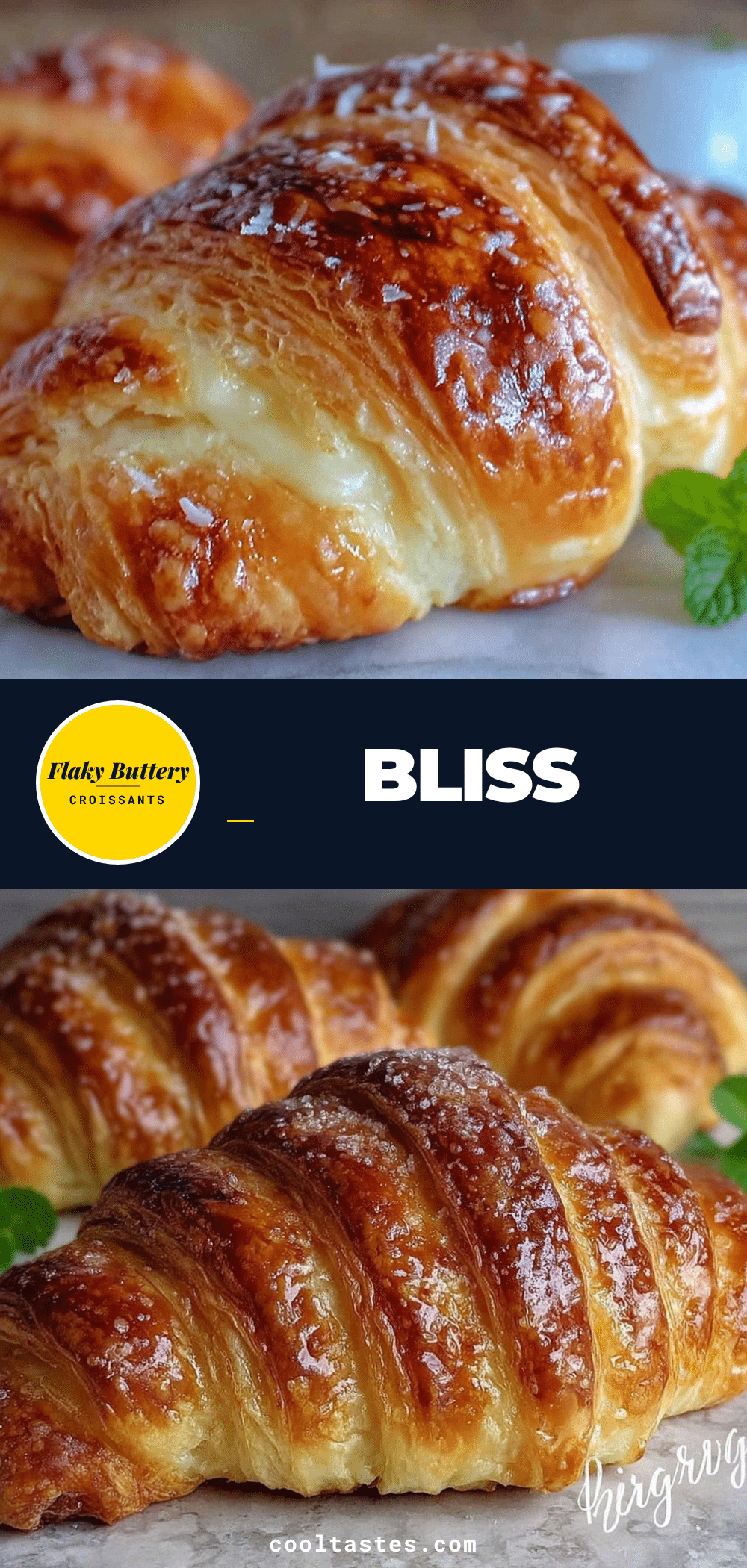 homemade croissants recipe recipe