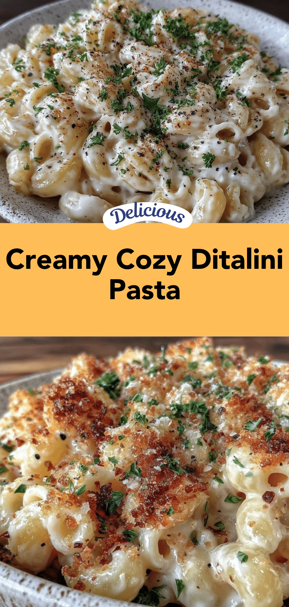 rich ditalini pasta with cheese sauce recipe