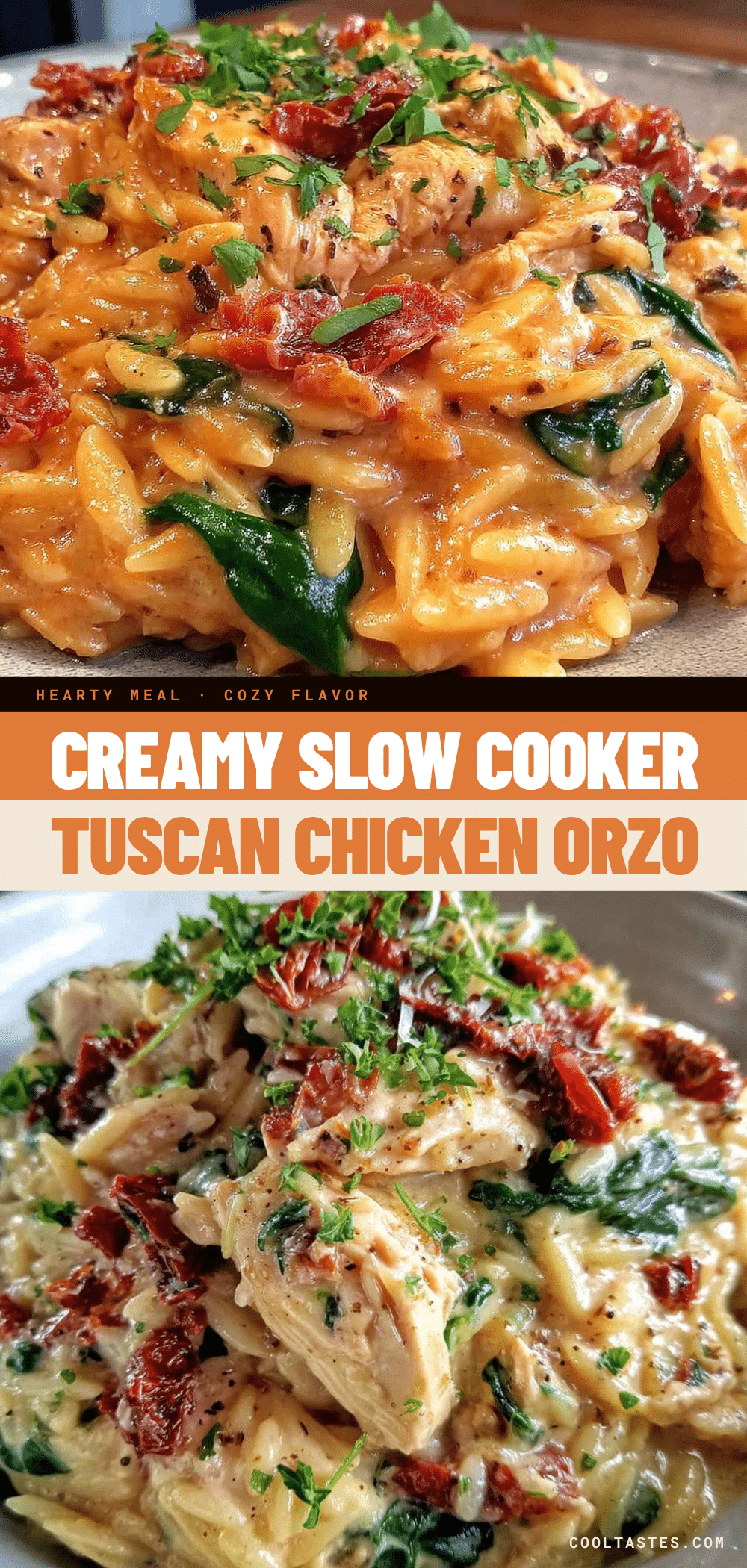 slow cooker tuscan chicken orzo recipe