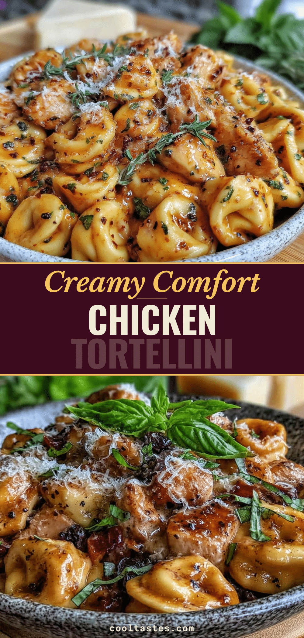 tender chicken tortellini crockpot meal recipe