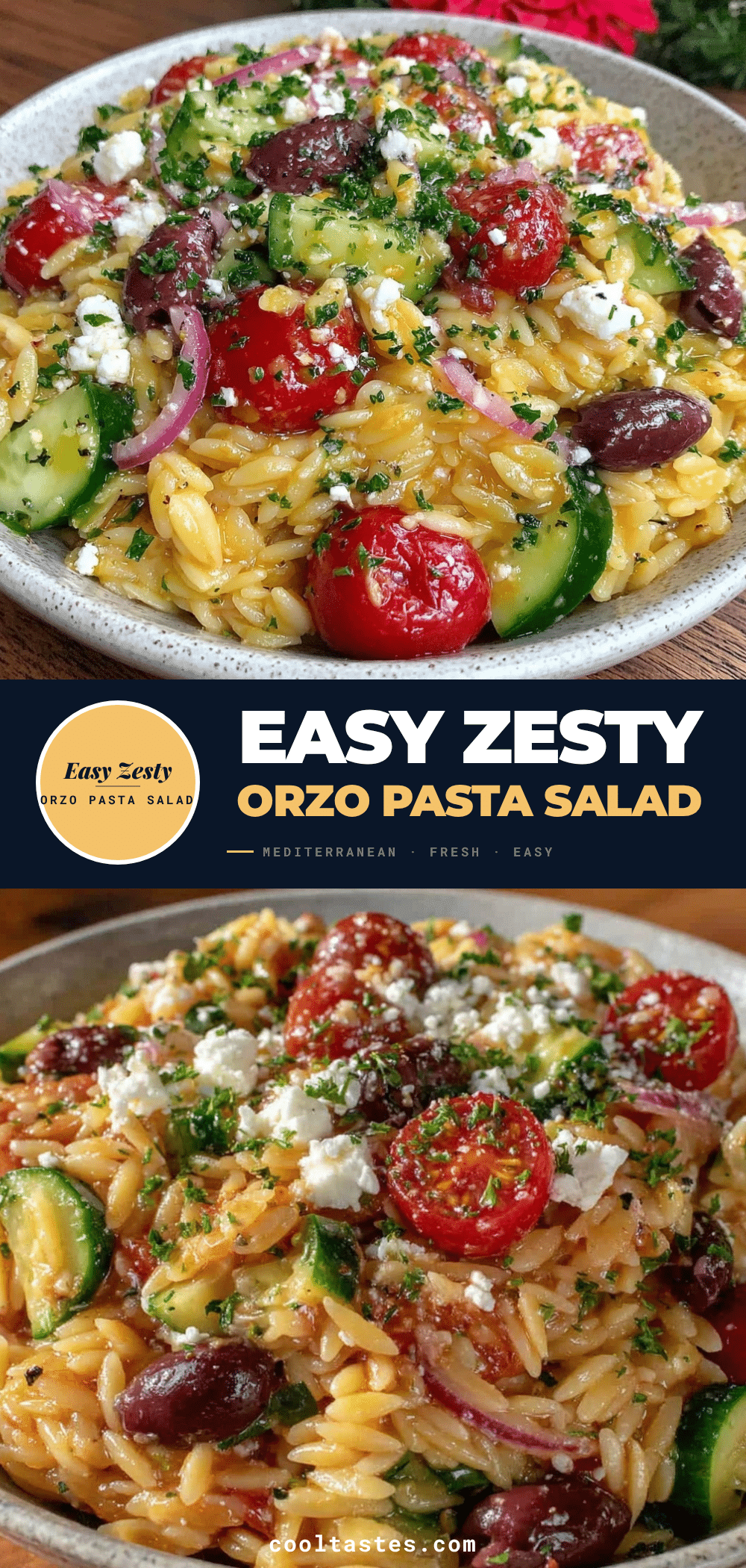 zesty orzo pasta salad recipe