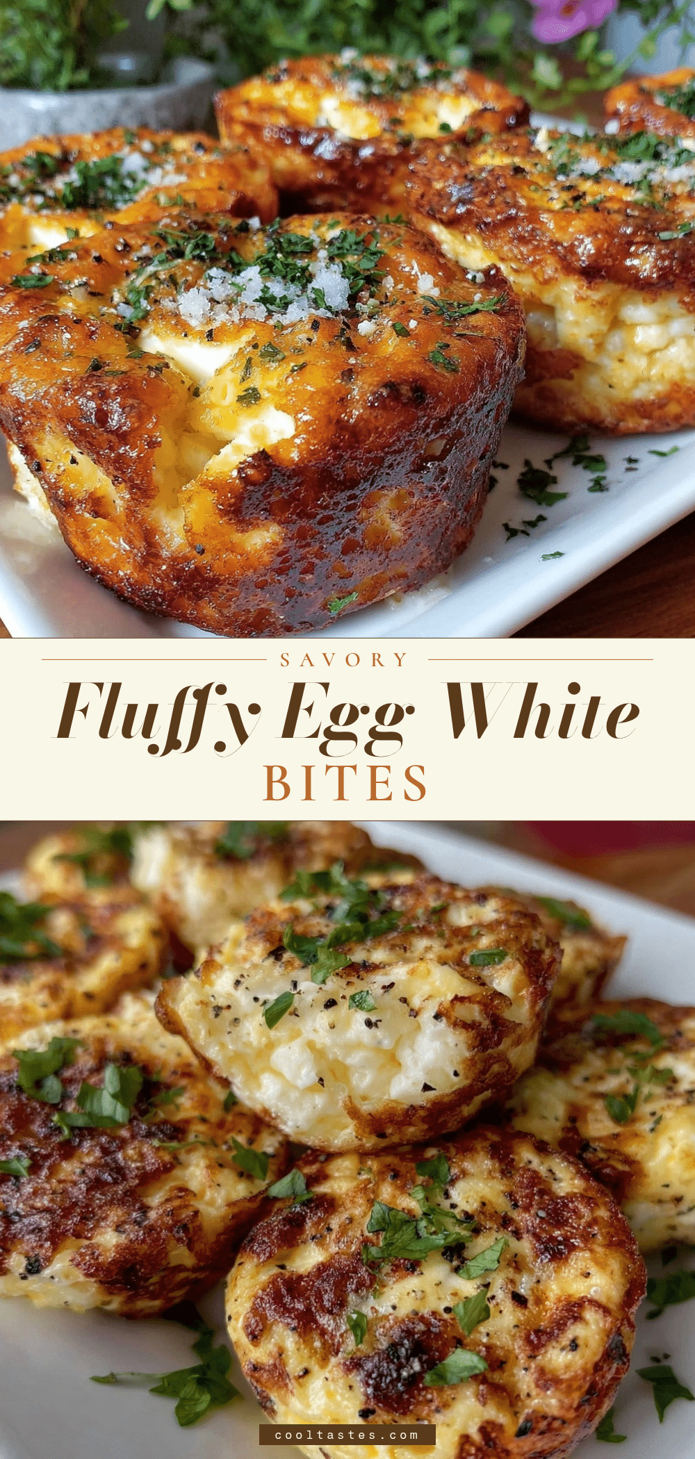 fluffy egg white bites recipe