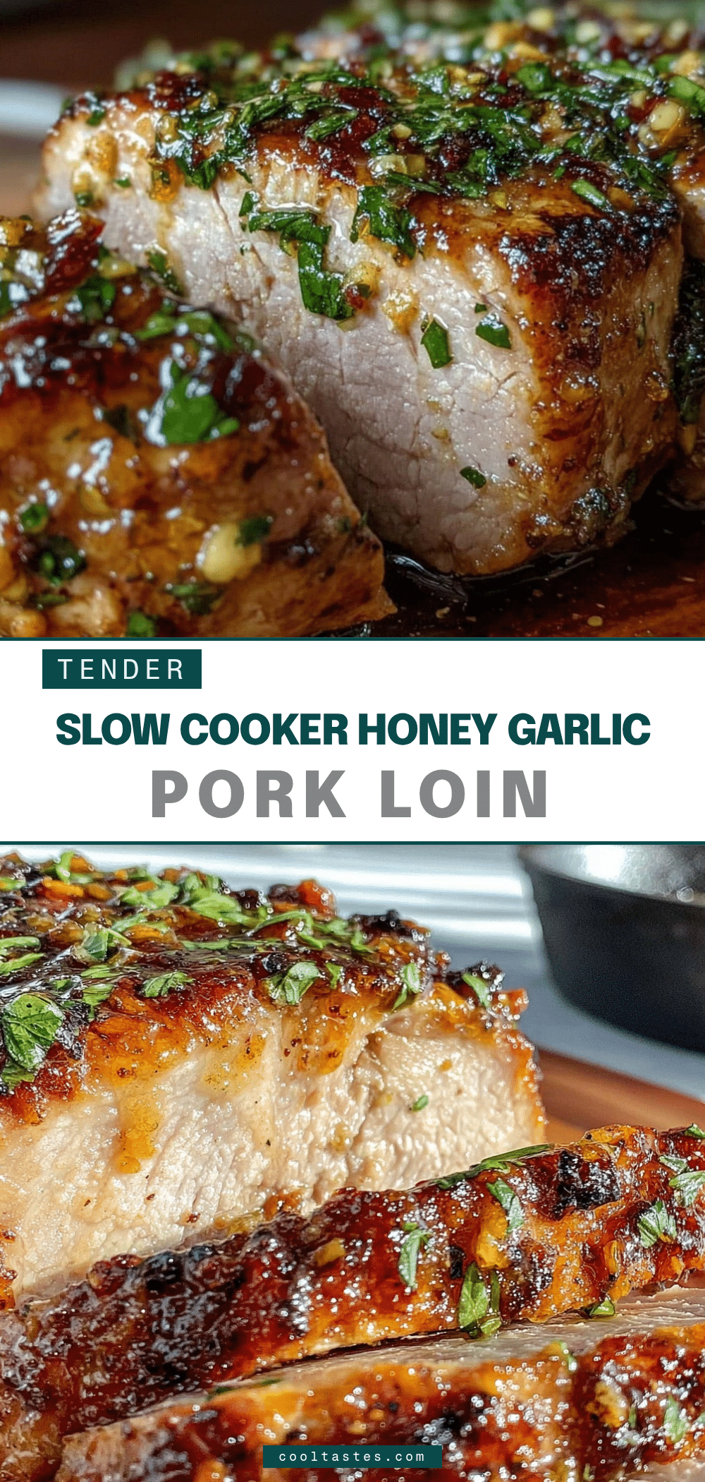 slow cooker honey garlic pork loin recipe