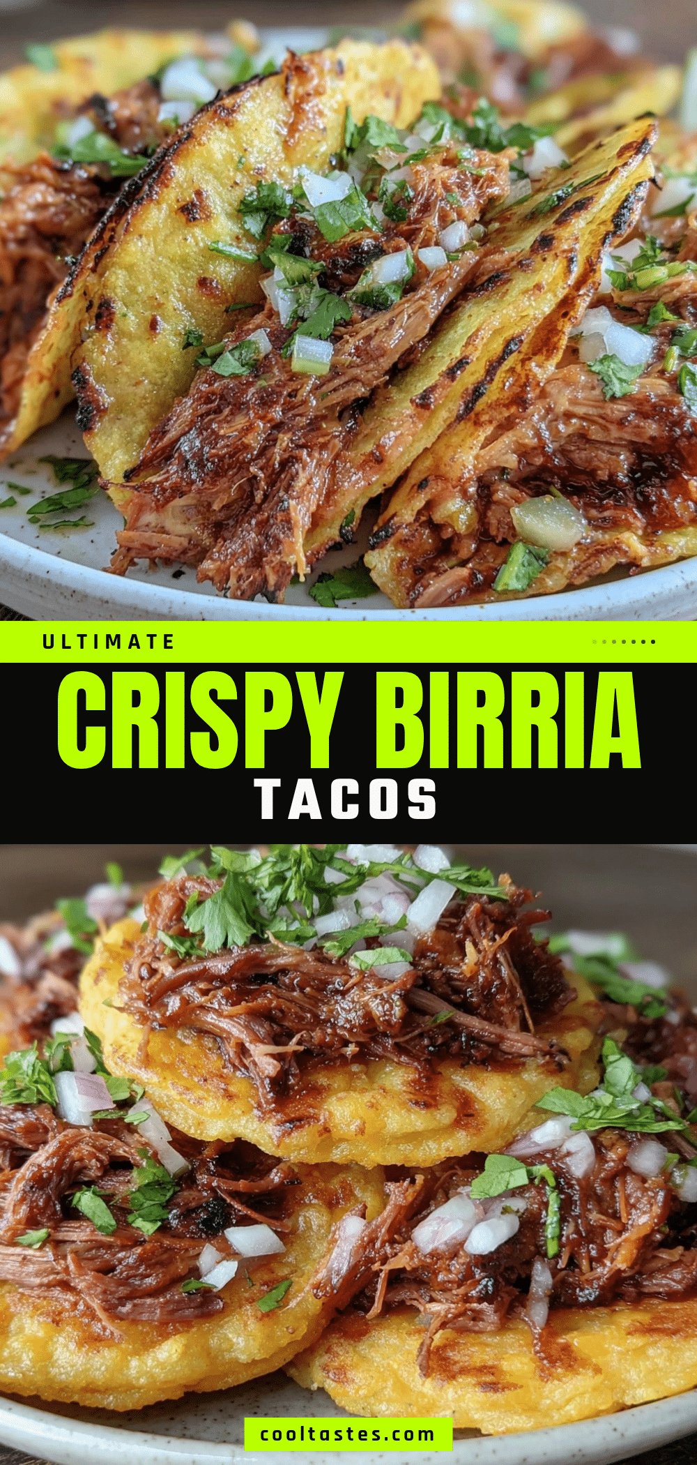 crispy birria tacos recipe