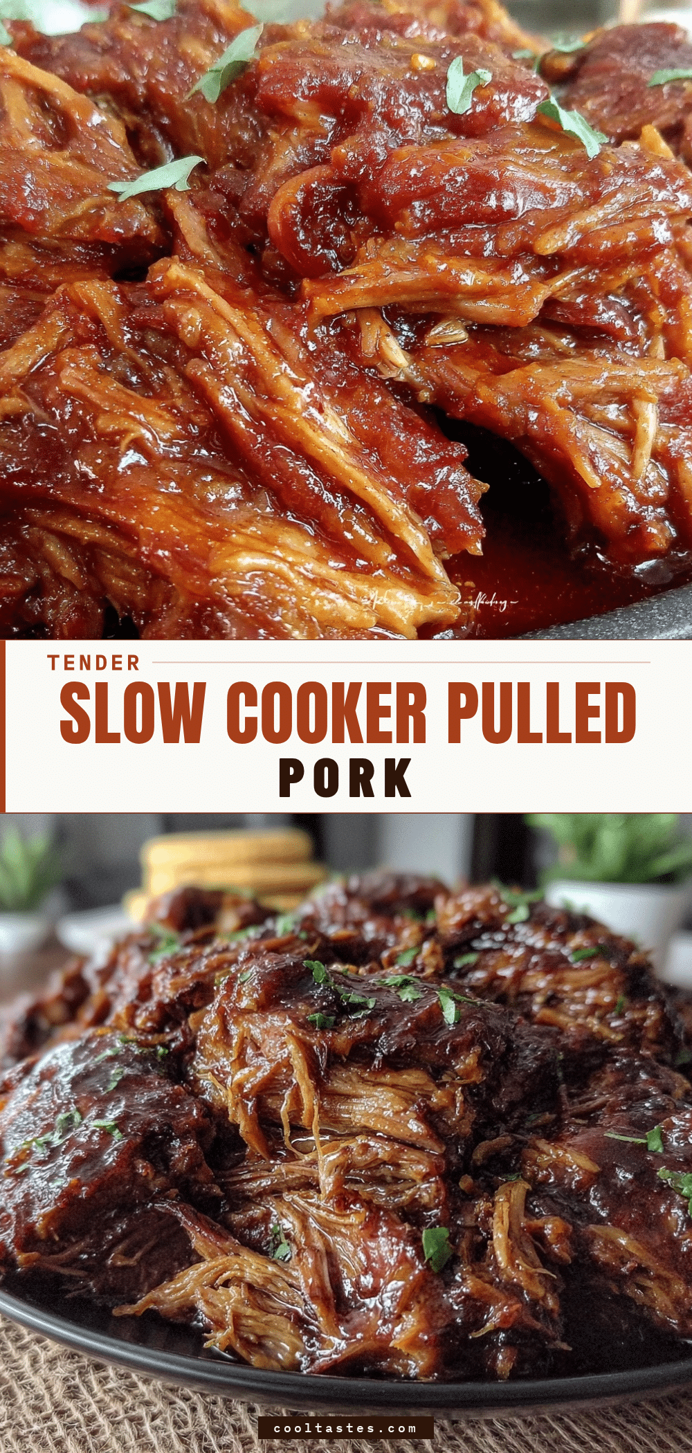 slow cooker pulled pork roast recipe