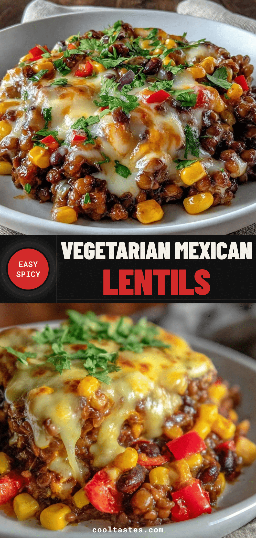 vegetarian mexican lentil bowl recipe