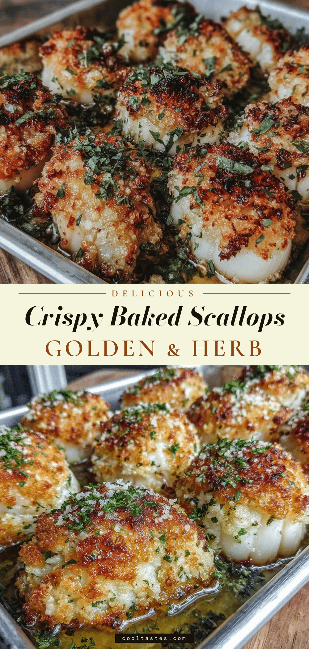 baked scallops recipe